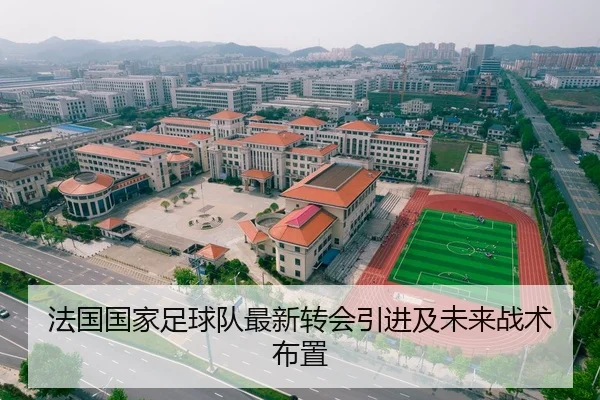 法国国家足球队最新转会引进及未来战术布置 - LDSports